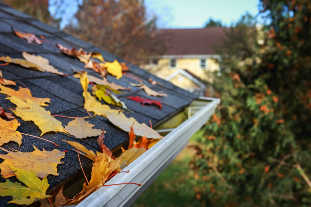 The Essential Fall Maintenance Guide for Your Florida Rental Property